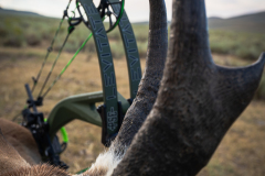 LNG08968-Enhanced-NR